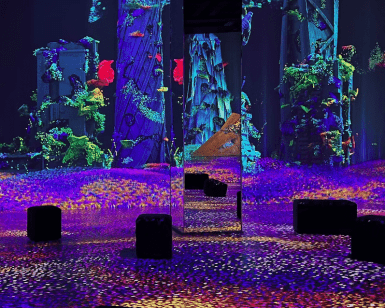 Experimente el brillante y colorido arte digital de corales vibrantes y formas abstractas en el Museo Nómada. ¡Reserve ahora sus Entradas al Museo Nómada Inmersivo para un viaje luminoso de luz e imaginación!. - ForTwo - Planes para parejas
