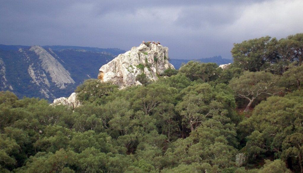 Parques Naturales de Andalucía