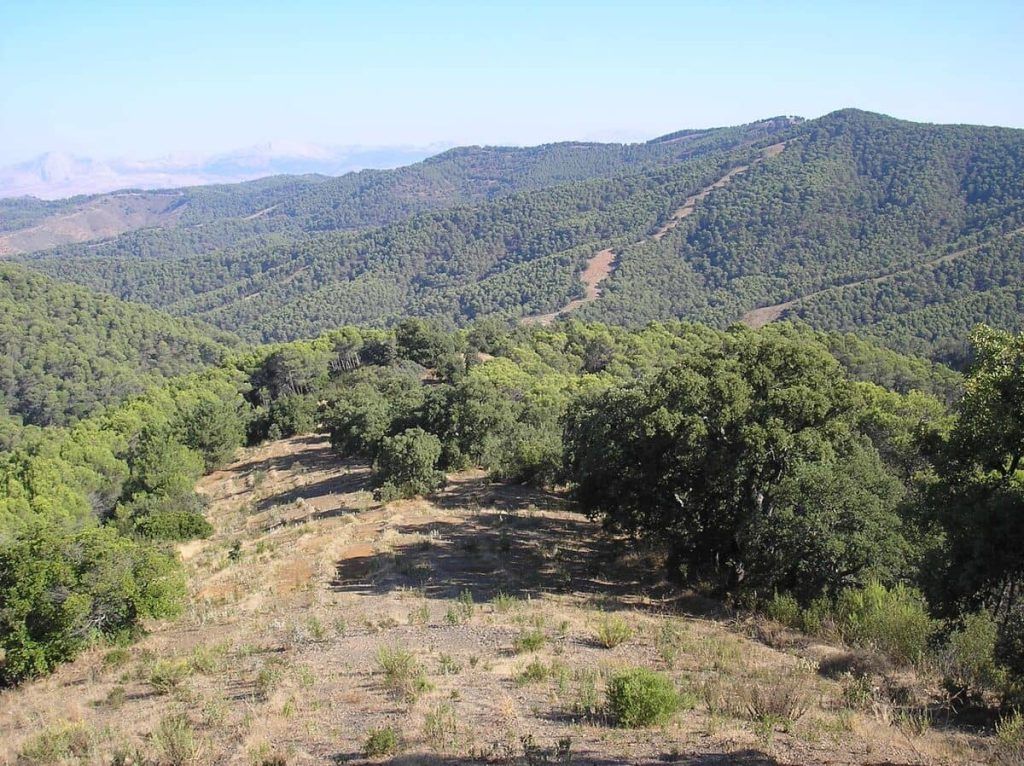 Parques Naturales de Andalucía
