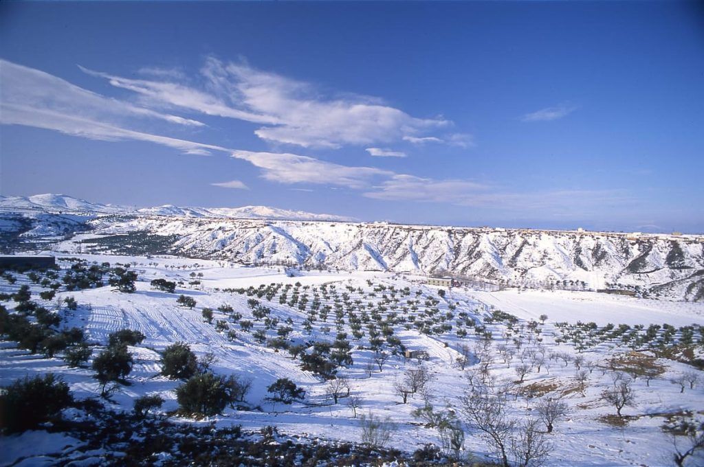 Parques Naturales de Andalucía