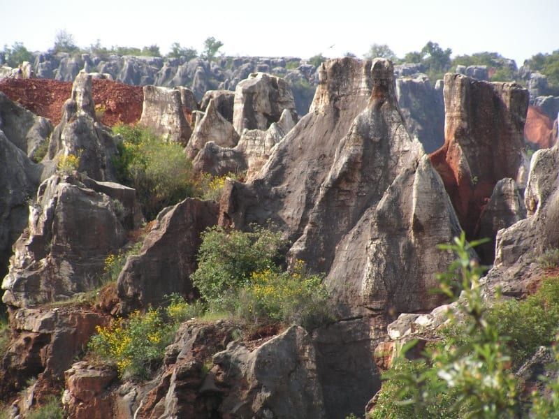 Parques Naturales de Andalucía