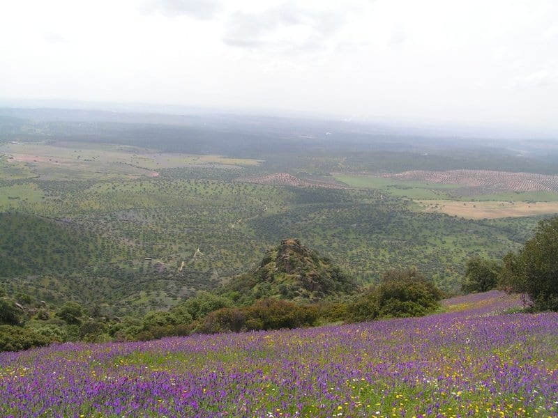 Parques Naturales de Andalucía