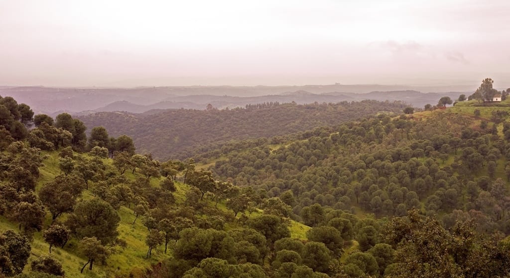 Parques Naturales de Andalucía