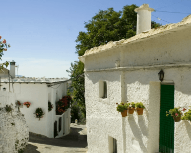 Descubre el encanto de la Alpujarra en "Alpujarra: Tour guiado desde Granada". Pasea entre casas de estuco blanco con puertas verdes y macetas con flores a lo largo de una calle soleada y arbolada para disfrutar de la auténtica belleza andaluza. - ForTwo - Planes para parejas