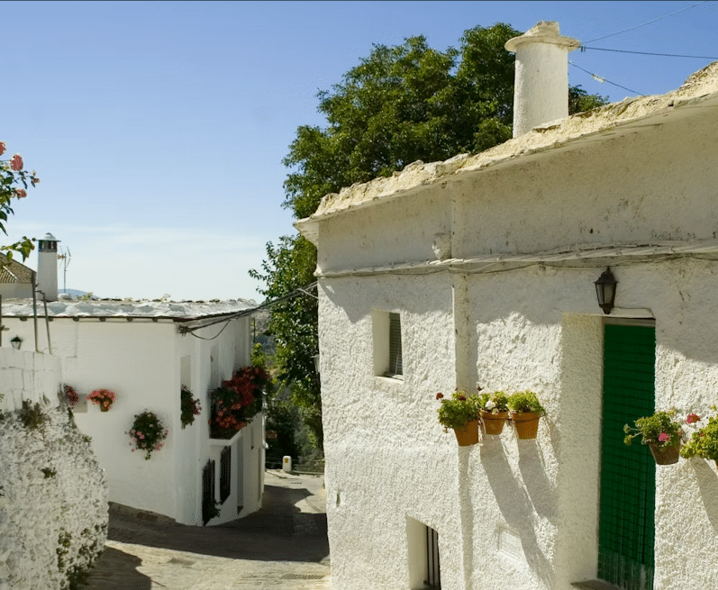 Descubre el encanto de la Alpujarra en "Alpujarra: Tour guiado desde Granada". Pasea entre casas de estuco blanco con puertas verdes y macetas con flores a lo largo de una calle soleada y arbolada para disfrutar de la auténtica belleza andaluza. - ForTwo - Planes para parejas