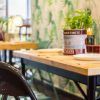 Esta moderna cafetería, con mesas de madera, sillas verdes y un centro de mesa con plantas, rezuma el ambiente del Restaurante Artefacto (Sevilla). Un papel pintado con estampado de hojas adorna las paredes, realzando el encantador ambiente de los cafés sevillanos. - ForTwo - Planes para parejas