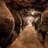 Explora la bodega subterránea, poco iluminada, en una visita guiada con tapas en Bodegas Peral (Madrid), donde grandes tinajas de barro adornan el estrecho pasadizo. Concluye el recorrido con deliciosas tapas para enriquecer tu experiencia. - ForTwo - Planes para parejas