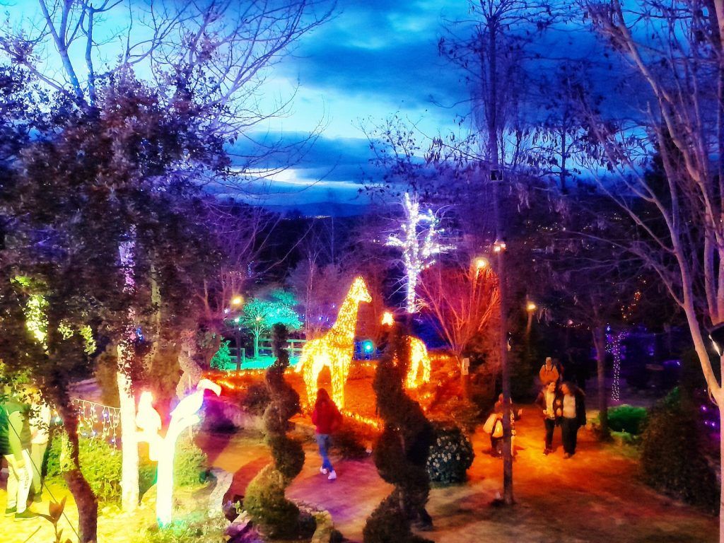naturaleza iluminada