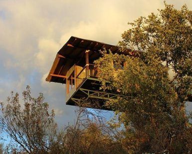 La Cabaña Aire en Dormir en los árboles en Cáceres ofrece una experiencia única de casa en un árbol, elevada sobre una ladera y enclavada entre árboles bajo un cielo parcialmente nublado. - ForTwo - Planes para parejas