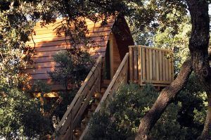 La Cabaña en el árbol para ir en pareja en MonteHoliday Madrid ofrece una escapada encantadora enclavada entre los árboles, con una escalera que conduce a una acogedora terraza, perfecta para el romance. - ForTwo - Planes para parejas