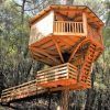 La Habitación mágica en los árboles de Cabanes Dosrius ofrece una casa de madera en el árbol con techo inclinado y balcón, enclavada entre altos árboles. Se accede por una escalera y una pasarela y captura el encanto de Barcelona. - ForTwo - Planes para parejas