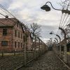 La entrada a Auschwitz-Birkenau, parte del "Tour con entradas a Auschwitz-Birkenau (Cracovia)", muestra cercas de alambre de púas con lámparas en el fondo de edificios de ladrillo y un cielo nublado, capturando su sombría historia. - ForTwo - Planes para parejas