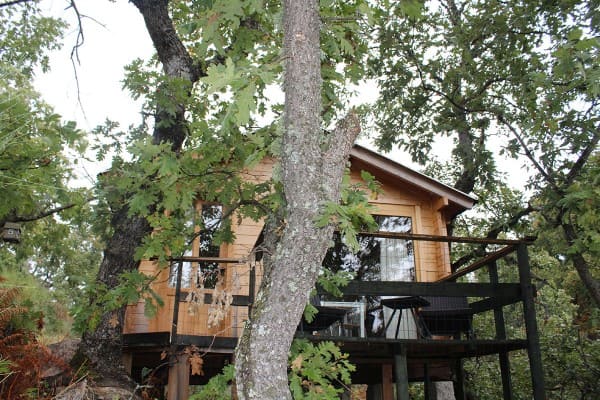 dormir en los arboles cabana musgo terraza