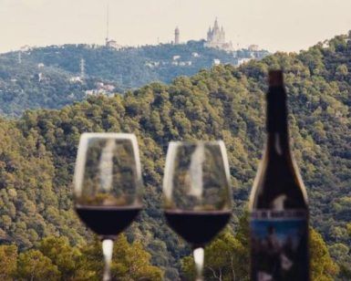 Dos copas de vino tinto y una botella sobre una mesa con las pintorescas colinas de Collserola al fondo, con un monumento a lo lejos. Perfecto para los amantes de la aventura. - ForTwo - Planes para parejas