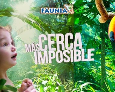 En la vibrante jungla de Faunia, un niño se maravilla con un tucán y un mono bajo el texto "Más Cerca Imposible". Vive esta magia en Madrid: ¡compra ya tus Entradas para Faunia y deja que el icónico logo guíe tu aventura!. - ForTwo - Planes para parejas