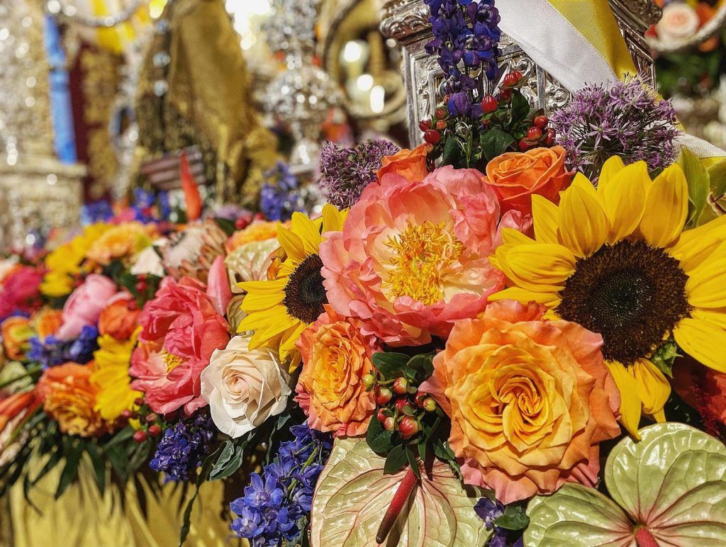 floristería-córdoba-pinsapo