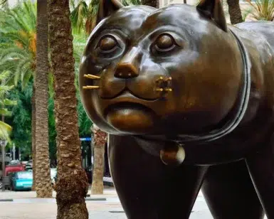 En El Raval, una gran escultura de bronce de un gato cautiva a los visitantes entre palmeras y edificios animados. Descubra esta icónica imagen en el "Tour gratuito por el barrio del Raval (Barcelona)" mientras explora las vibrantes calles de Barcelona. - ForTwo - Planes para parejas