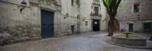 Descubra el encantador patio histórico de piedra de Barcelona, con su majestuoso árbol, sus puertas ornamentadas y su fuente central, bañada por una suave luz natural. Únase a nuestro "Tour gratuito de las mujeres ilustres de Barcelona" para descubrir las historias tras estas joyas ocultas. - ForTwo - Planes para parejas