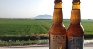 Dos botellas de cerveza se yerguen ante un exuberante campo verde con una montaña a lo lejos bajo un cielo despejado, capturando la esencia de Valencia. Te sentirás como en una "Visita a la fábrica de cerveza Génesis con cata y almuerzo" en Valencia, saboreando la belleza natural que inspira cada cerveza. - ForTwo - Planes para parejas