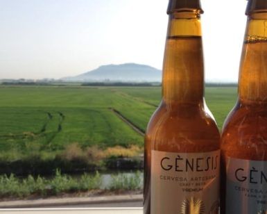 Dos botellas de cerveza se yerguen ante un exuberante campo verde con una montaña a lo lejos bajo un cielo despejado, capturando la esencia de Valencia. Te sentirás como en una "Visita a la fábrica de cerveza Génesis con cata y almuerzo" en Valencia, saboreando la belleza natural que inspira cada cerveza. - ForTwo - Planes para parejas