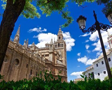 La majestuosa Catedral de Sevilla, con su imponente campanario bajo un cielo azul despejado, está rodeada de frondosos árboles y una encantadora farola. Experimente su belleza atemporal con "Visita la Catedral de Sevilla sin esperas". - ForTwo - Planes para parejas