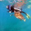 Un buceador con traje de neopreno realiza un recorrido bajo el agua, interactuando con una tortuga marina en el "Tour guiado de snorkel como nunca antes (Tenerife). - ForTwo - Planes para parejas