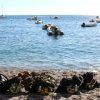 En la tranquila playa de Buceo Calahonda, el equipo del "Curso de buceo en Granada" descansa listo para explorar el mar tranquilo. Las embarcaciones se mecen suavemente cerca de un acantilado escarpado, capturando la encantadora belleza costera de Granada. - ForTwo - Planes para parejas