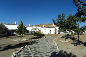 Un camino de piedra conduce a encantadoras casas blancas con chimeneas en Guadix, enclavadas como joyas bajo un cielo azul nítido, capturando la esencia de "Una noche en cueva romántica de turismo rural (Guadix)", donde los árboles escasos se alzan como centinelas. - ForTwo - Planes para parejas
