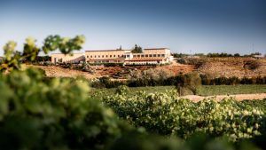 El paisaje de viñedos en el corazón de Cuenca revela una vista lejana del Complejo Enoturístico Finca La Estacada bajo un cielo azul claro, proporcionando una experiencia enoturística inigualable. - ForTwo - Planes para parejas