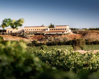 El paisaje de viñedos en el corazón de Cuenca revela una vista lejana del Complejo Enoturístico Finca La Estacada bajo un cielo azul claro, proporcionando una experiencia enoturística inigualable. - ForTwo - Planes para parejas