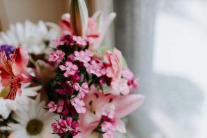 Las mejores floristerías de Valencia|Las mejores floristerías de Valencia|Las mejores floristerías de Valencia|Las mejores floristerías de Valencia|Las mejores floristerías de Valencia||Las mejores floristerías de Valencia|Las mejores floristerías de Valencia|Las mejores floristerías de Valencia|Las mejores floristerías de Valencia|Las mejores floristerías de Valencia
