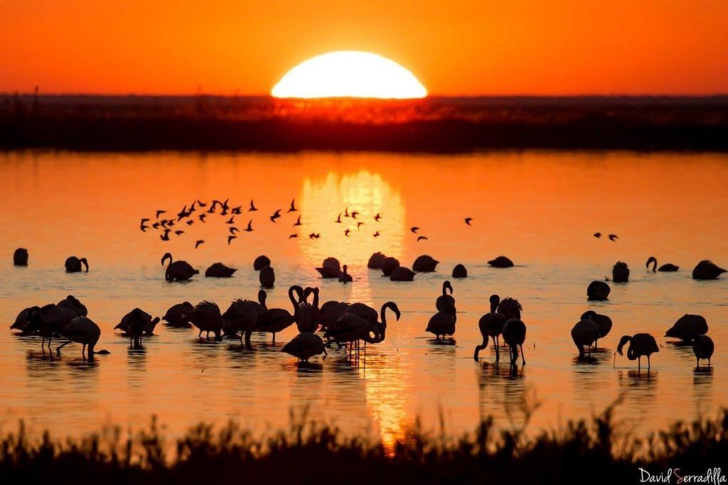 Los mejores atardeceres de Andalucía