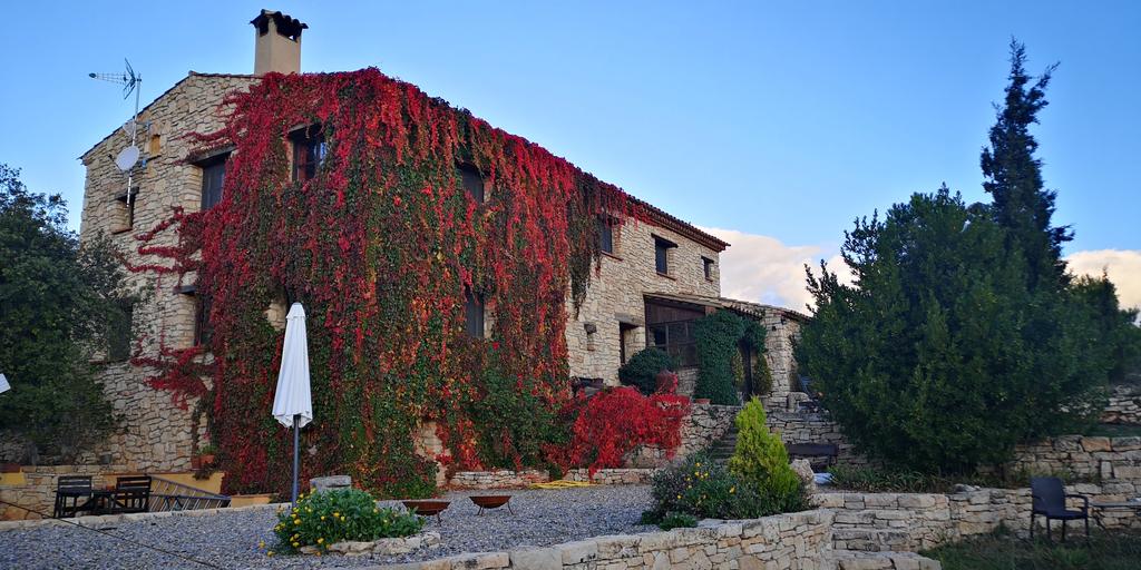 Fachada detrás mas de l'arlequi plantas trepadoras