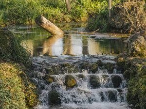 mejores-piscinas-naturales-sevilla|san-nicolas-puerto-piscinas-sevilla|laguna-gosque-piscina-naturales-sevilla|||calderas-majadallana-piscinas-naturales-sevilla|lagos-serrano-piscina-naturales-sevilla|isla-margarita-piscinas-naturales-sevilla|rivera-benalija-piscinas-naturales-sevilla