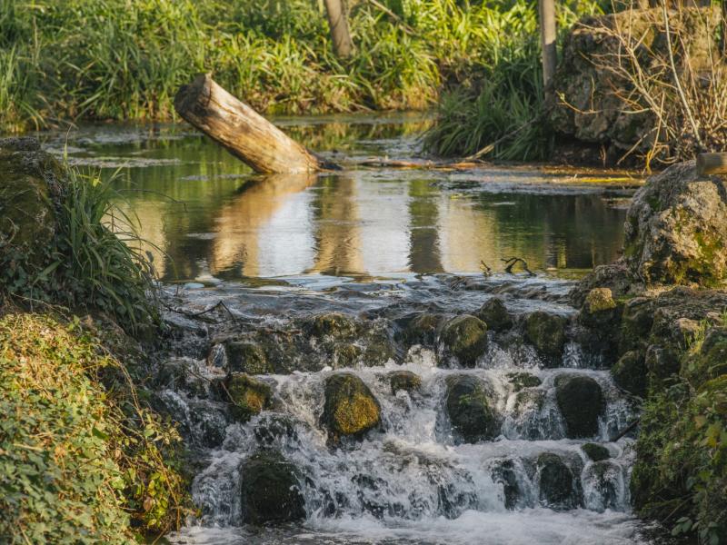 mejores-piscinas-naturales-sevilla|san-nicolas-puerto-piscinas-sevilla|laguna-gosque-piscina-naturales-sevilla|||calderas-majadallana-piscinas-naturales-sevilla|lagos-serrano-piscina-naturales-sevilla|isla-margarita-piscinas-naturales-sevilla|rivera-benalija-piscinas-naturales-sevilla