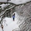 Dos personas disfrutan de "Raquetas de nieve y spa en Navacerrada (Madrid)" en una pista forestal nevada, con ramas cargadas de nieve creando un tranquilo dosel en lo alto. - ForTwo - Planes para parejas