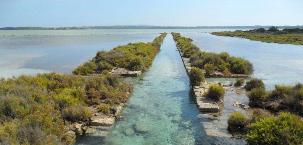 plan en islas baleares
