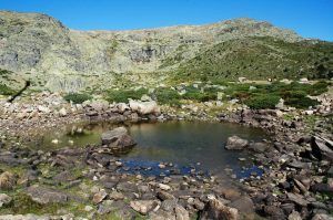 parques naturales de la comunidad de madrid|parque-regional-cuenta-alta-del-manzanares|parque-regional-del-curso-medio-del-rio-guadarrama|macizo-penalara|valle-fuenfria|parqeu-regional-del-sureste-comunidad-madrid