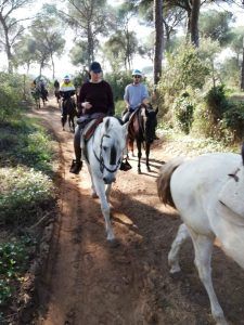 Un grupo de personas disfruta de un tranquilo "Paseo a caballo en pareja por el entorno de Doñana (Sevilla)" a través de senderos de frondosos bosques, rodeados de vibrante vegetación y imponentes árboles. - ForTwo - Planes para parejas