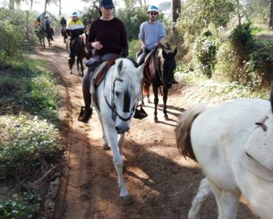 Un grupo de personas disfruta de un tranquilo "Paseo a caballo en pareja por el entorno de Doñana (Sevilla)" a través de senderos de frondosos bosques, rodeados de vibrante vegetación y imponentes árboles. - ForTwo - Planes para parejas