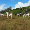 En Tenerife, el Paseo a caballo de 90 minutos ofrece un encantador paseo a través de campos de hierba bajo un cielo azul sereno con nubes dispersas, rodeado de árboles y exuberantes colinas verdes. - ForTwo - Planes para parejas