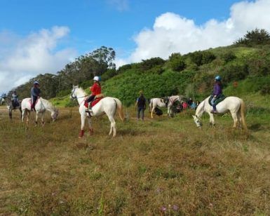 En Tenerife, el Paseo a caballo de 90 minutos ofrece un encantador paseo a través de campos de hierba bajo un cielo azul sereno con nubes dispersas, rodeado de árboles y exuberantes colinas verdes. - ForTwo - Planes para parejas
