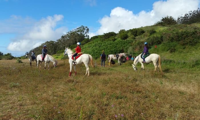 En Tenerife, el Paseo a caballo de 90 minutos ofrece un encantador paseo a través de campos de hierba bajo un cielo azul sereno con nubes dispersas, rodeado de árboles y exuberantes colinas verdes. - ForTwo - Planes para parejas