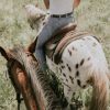 Una mujer con una camiseta blanca sin mangas cabalga sobre un caballo moteado por los exuberantes campos de hierba cerca de Córdoba, con el encanto histórico de Medina Azahara como telón de fondo en la "Ruta a caballo por la zona de Medina Azahara (Córdoba)". Se ve parcialmente otro caballo. - ForTwo - Planes para parejas