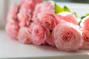 mejores floristerías oviedo|tulipanes-lilas-florbox