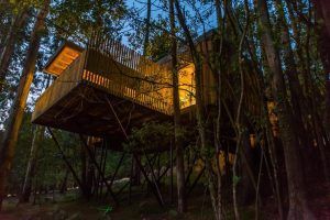 El Punta Espiñeiro, el lujo de Cabanas sem Barreiras en A Coruña, ofrece un escape sereno con una casa en el árbol elevada sobre pilotes entre los árboles, que brilla cálidamente a través de grandes ventanales al anochecer, proporcionando una tranquilidad similar a las acogedoras cabañas. - ForTwo - Planes para parejas