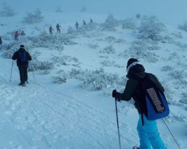 Gente haciendo senderismo con bastones de esquí y raquetas de nieve en una colina nevada en Navacerrada, Madrid, entre árboles helados bajo un cielo nublado durante la 'Excursión raquetas de nieve con luna llena'. - ForTwo - Planes para parejas