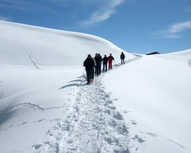 Un grupo disfruta de la Excursión con raquetas de nieve con las mejores vistas del Pedraforca (Vallcebre, Barcelona) mientras caminan bajo un cielo azul despejado, con el majestuoso Pedraforca alzándose a lo lejos. - ForTwo - Planes para parejas