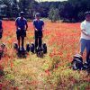 Cuatro personas se deslizan por un campo de amapolas rojas en la Ruta en Segway en los arrozales de Pals, ataviadas con cascos y ropa informal de verano. - ForTwo - Planes para parejas