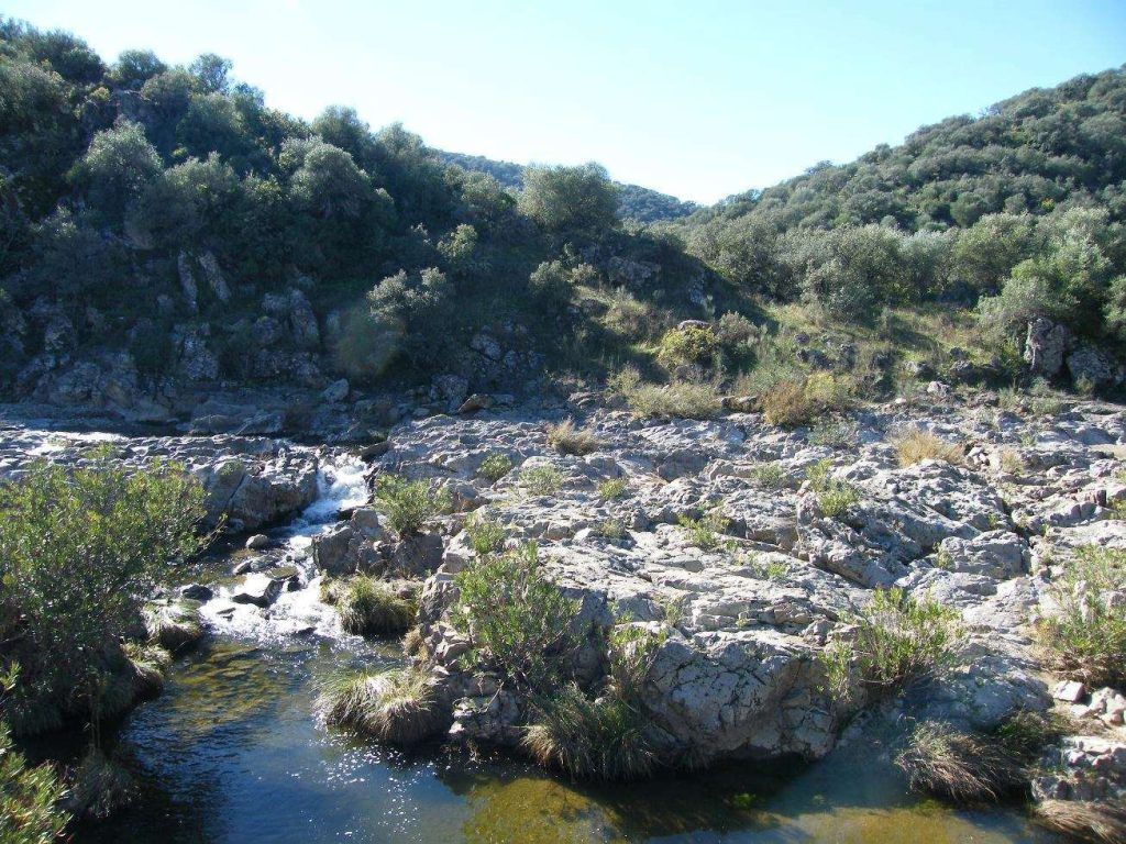 rivera-benalija-piscinas-naturales-sevilla